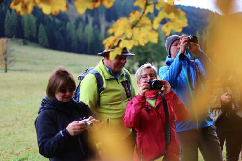 Fleissig beim Fotografieren ...