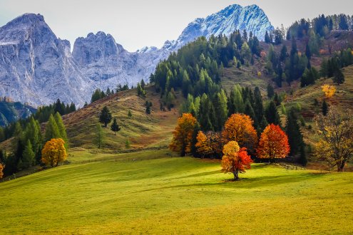 Herbst durch die Linse betrachtet ...