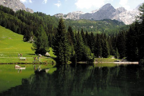 Am Almsee..