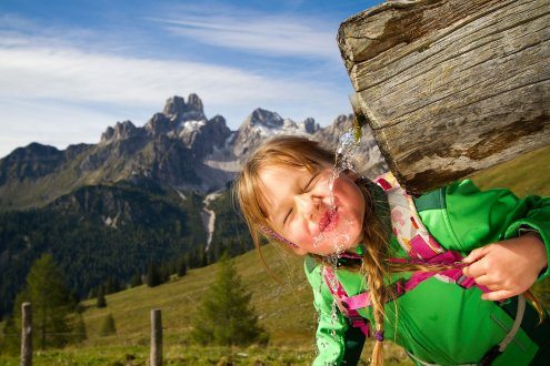 Wasser aus dem Gebirge - Was gibt es besseres?