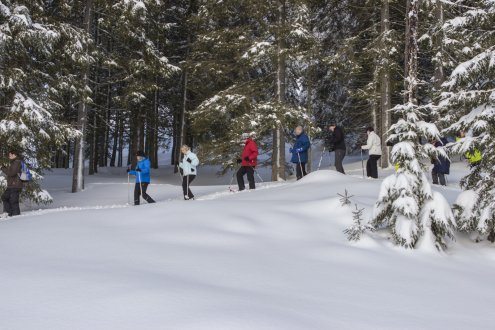 Bei der Schneeschuhwanderung