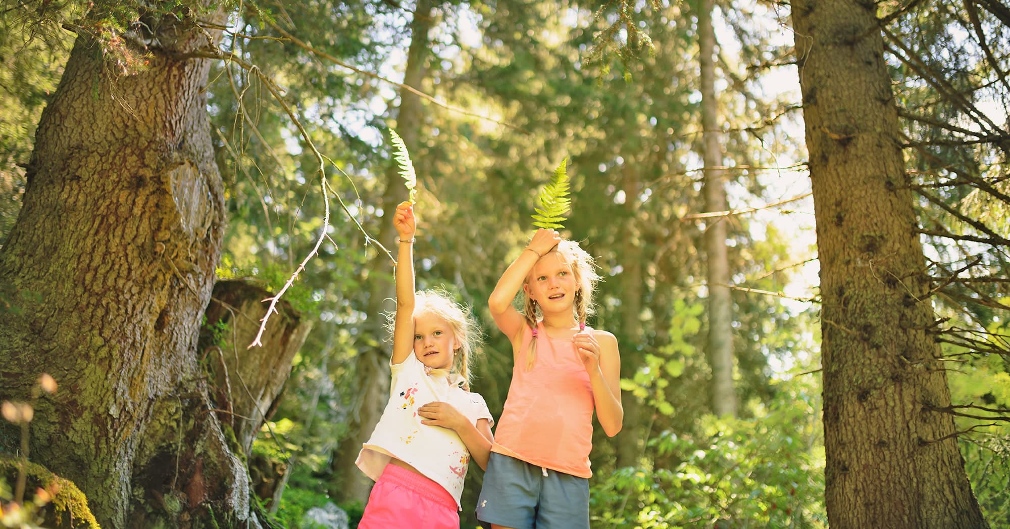 Kinder spielen im Wald in Filzmoos beim Familienurlaub im Hotel Naturglück Alpenhof