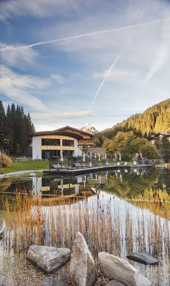 Schwimmen im Naturbadeteich im Sommer