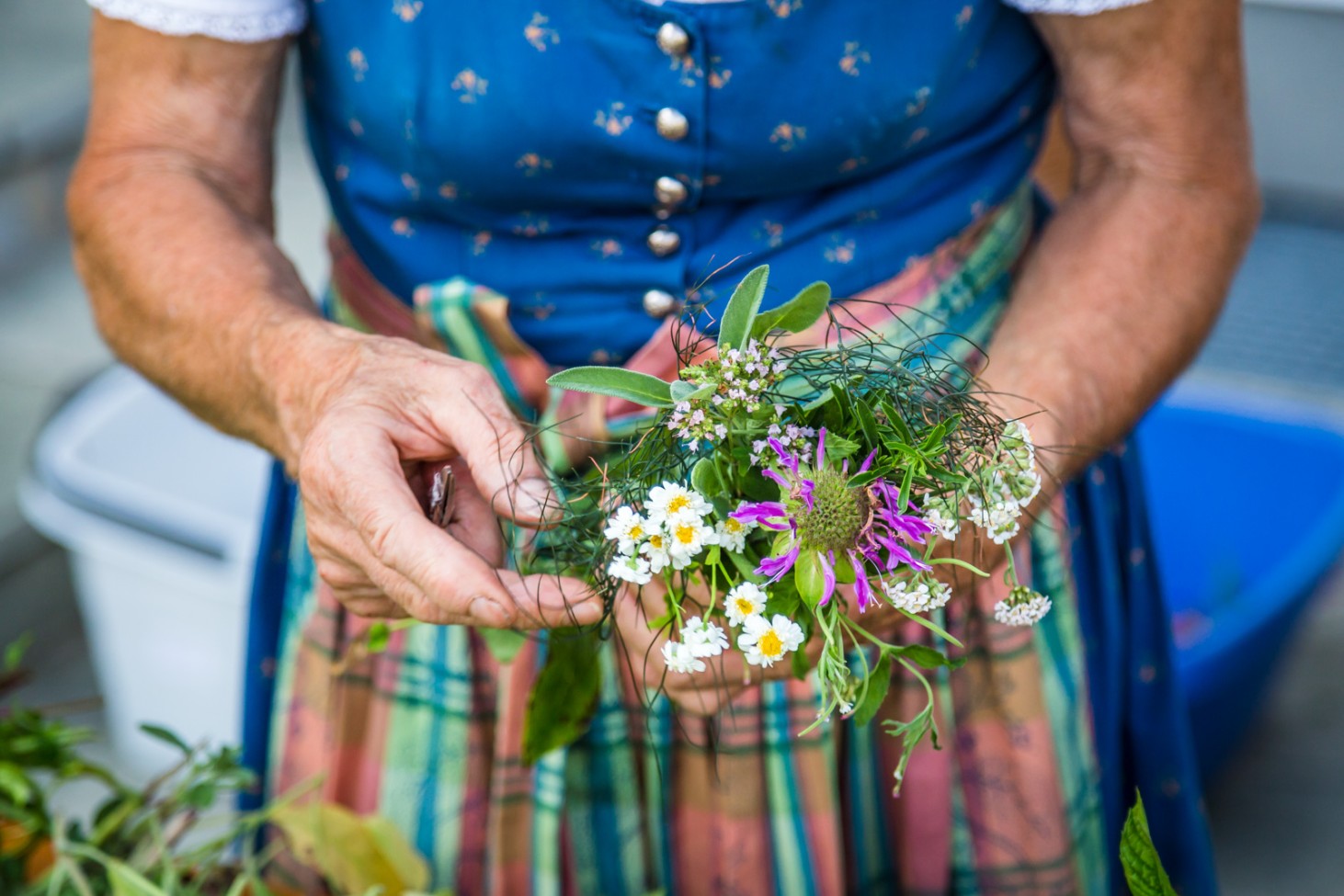 Kräuter und Blumenwochen im Alpenhof Filzmoos
