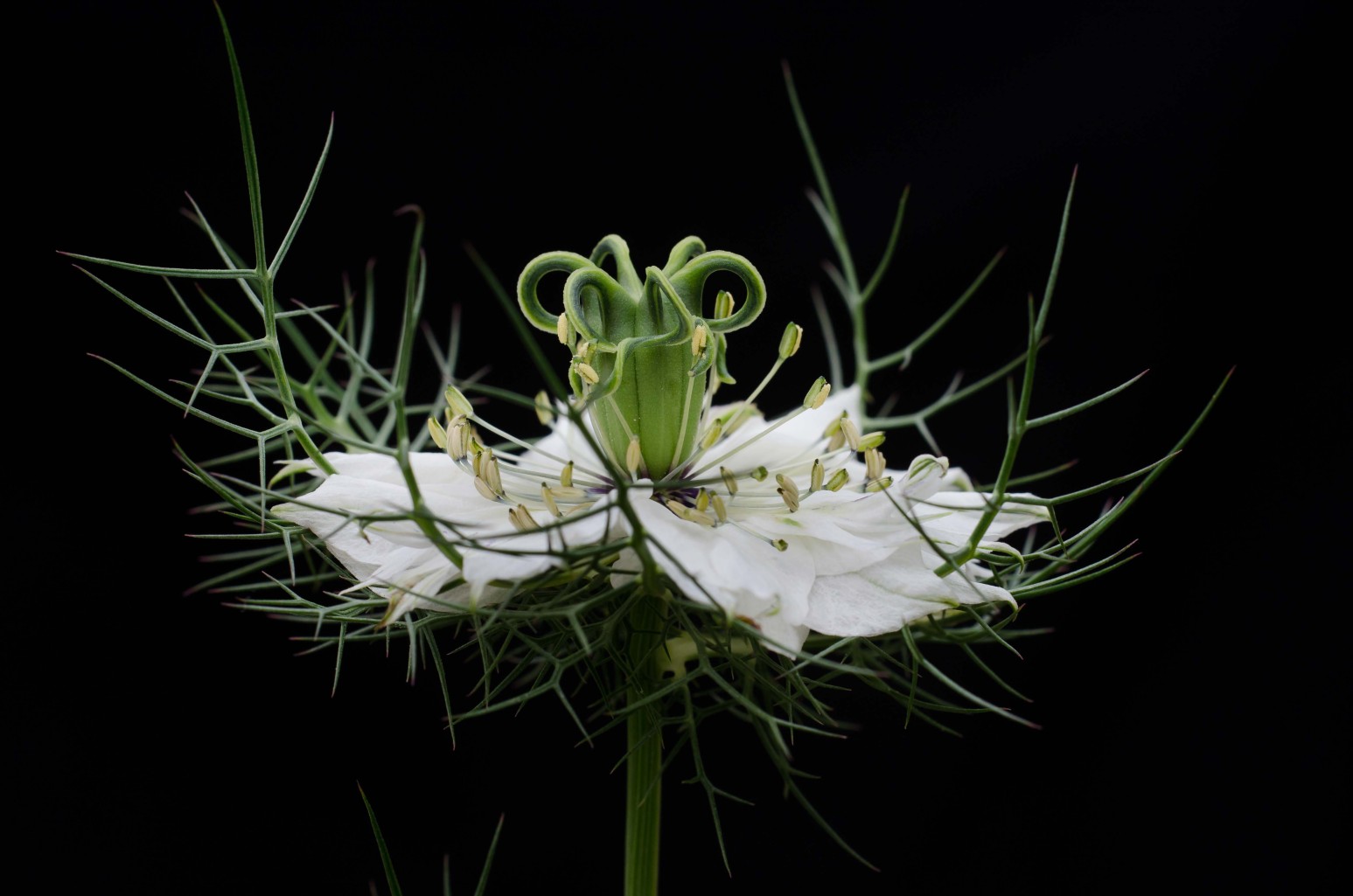 Exhibition piece by Norbert Kopf at Alpenhof Filzmoos