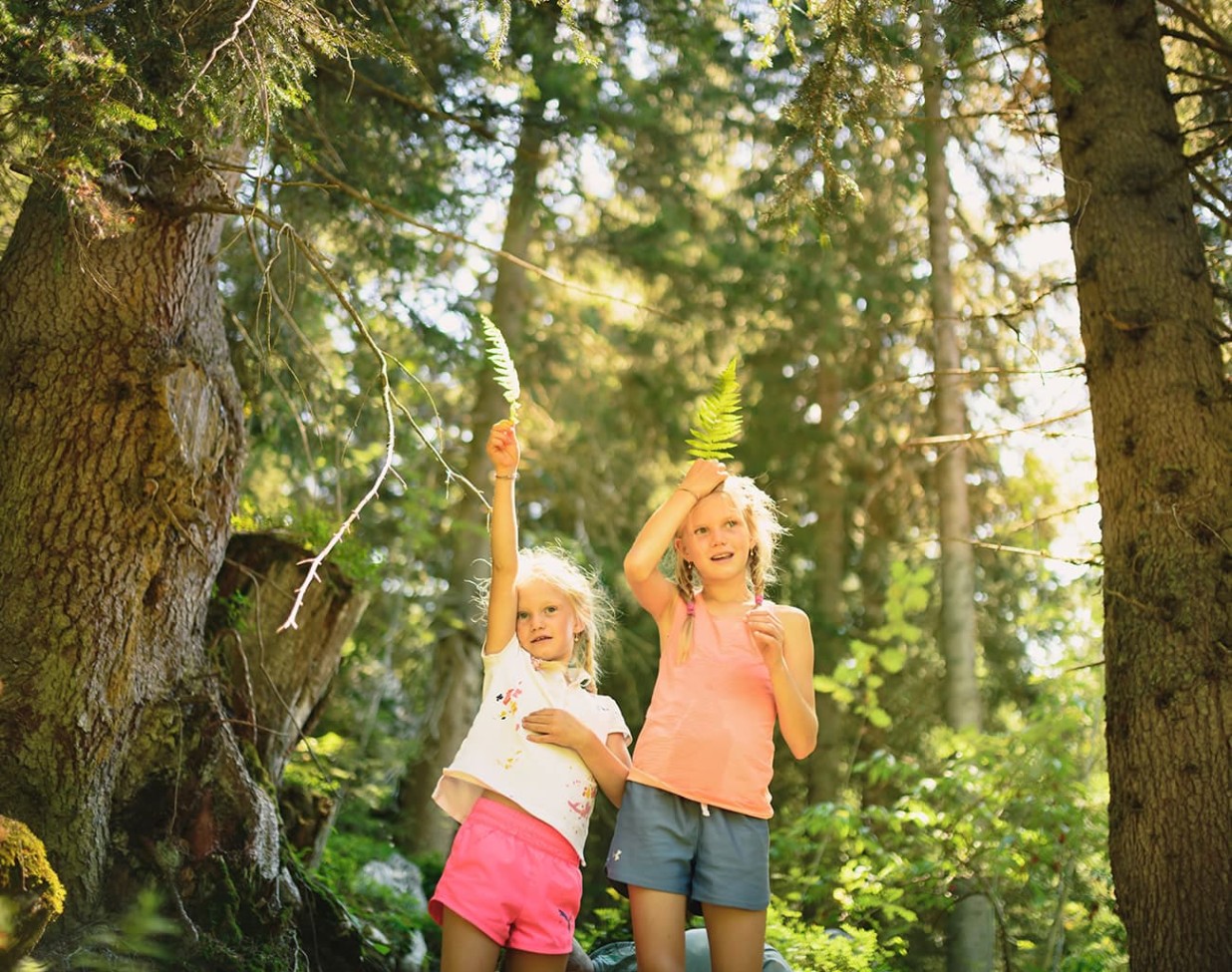 Schätze entdecken im Hotel Alpenhof Naturglück in Filzmoos