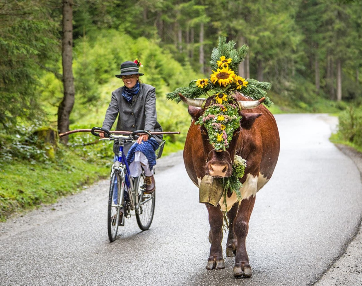 Almabtrieb und Bauernherbst erleben bei den Angeboten Hotel Alpenhof Naturglück