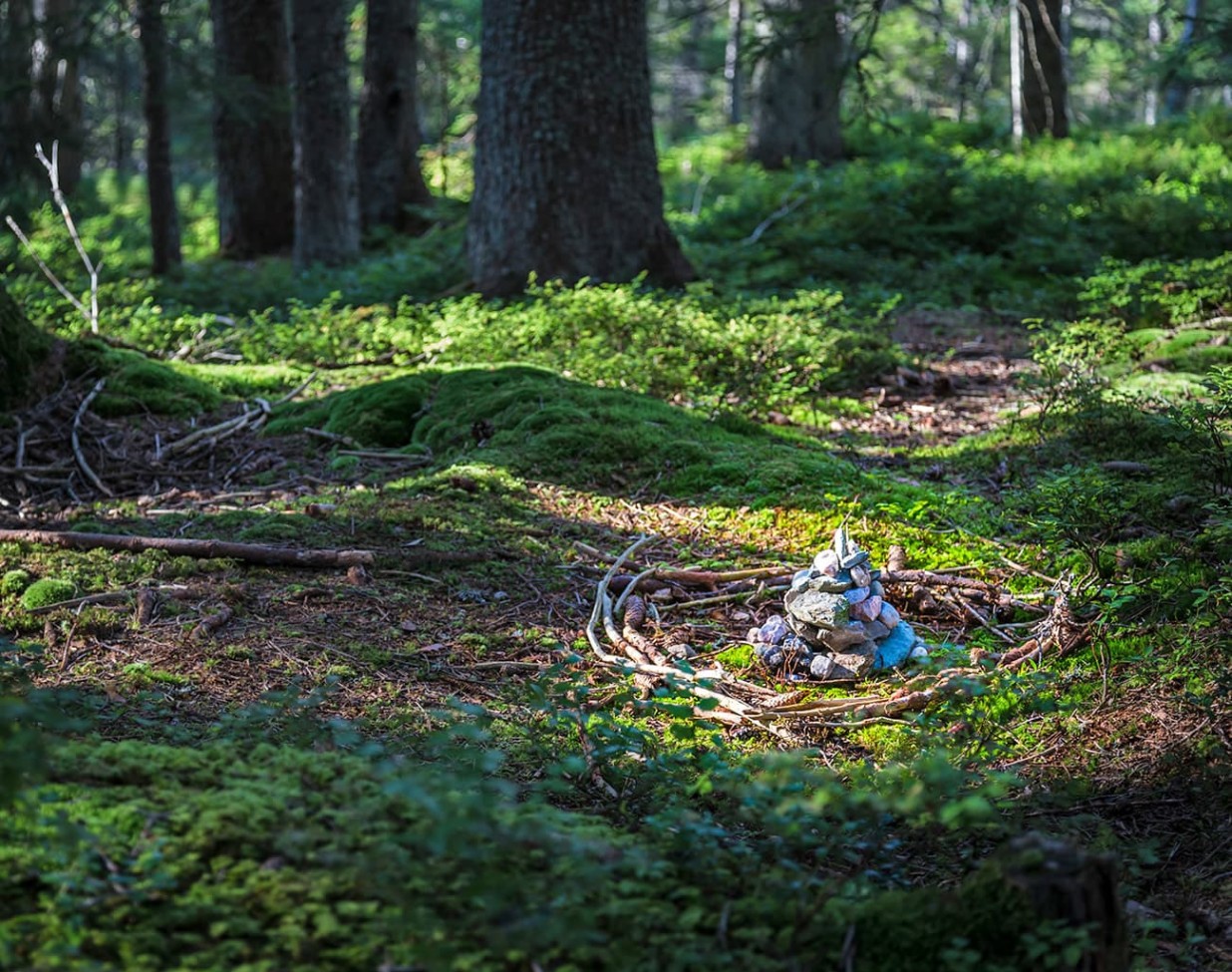 Die besten Fotos bekommen in den Fotowanderwochen im Hotel Alpenhof Naturglück