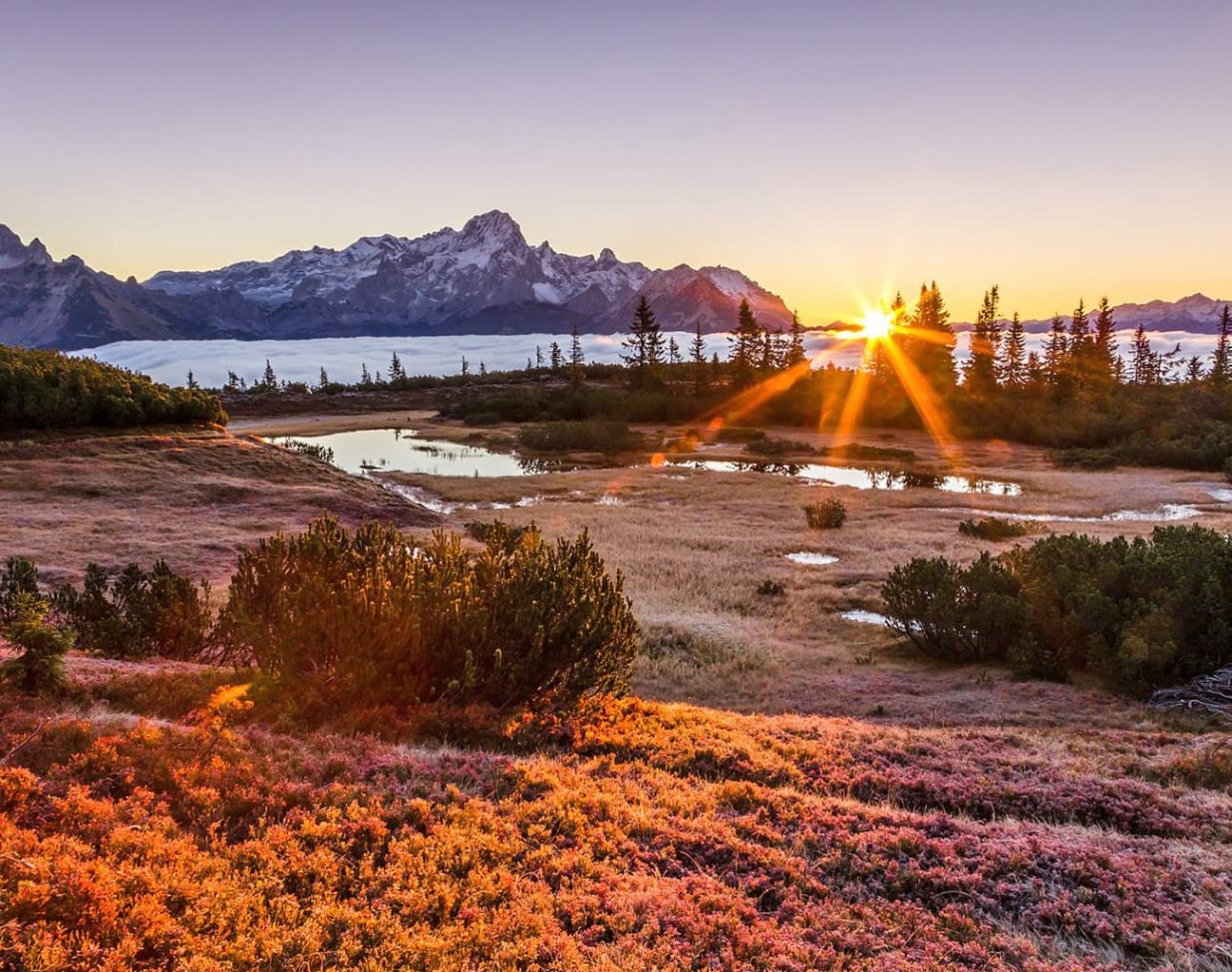 Hike past the Schwarze Lacke to the Gerzkopf