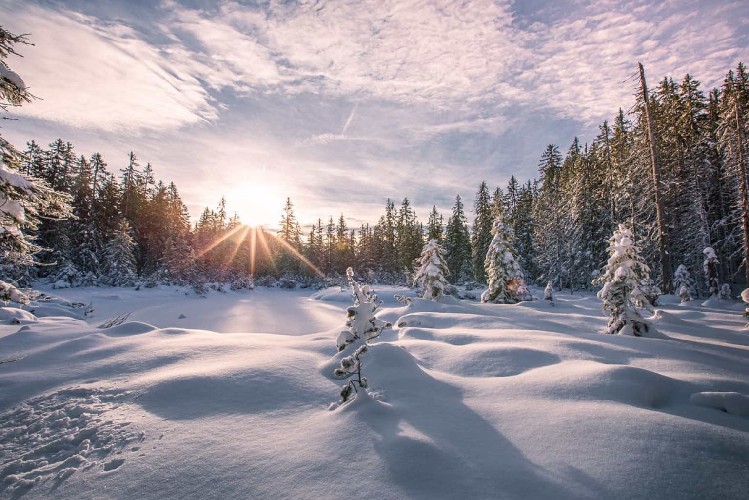 Snow-covered winter landscape in the forests of Filzmoos