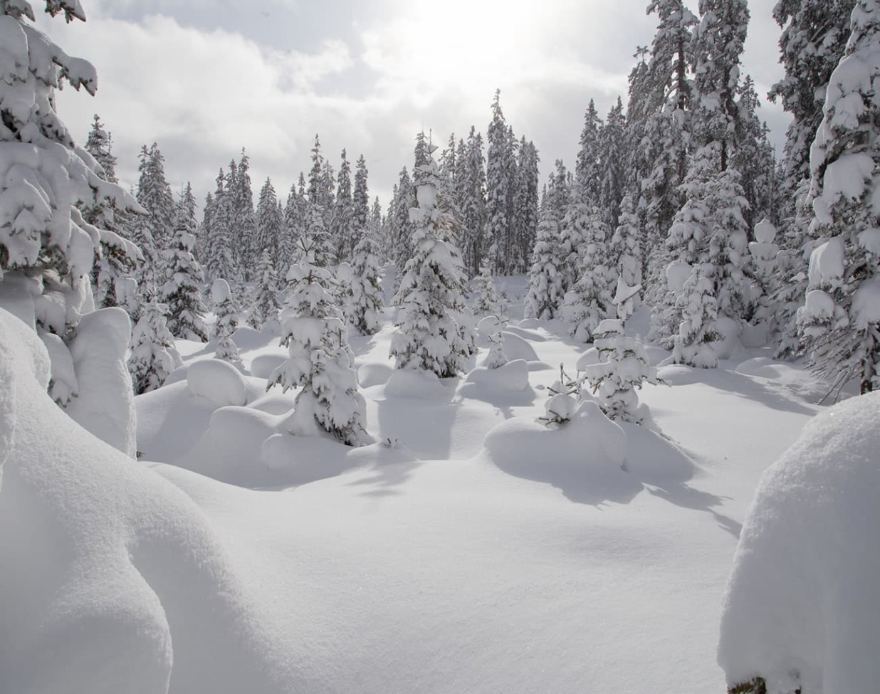 Winter at its finest