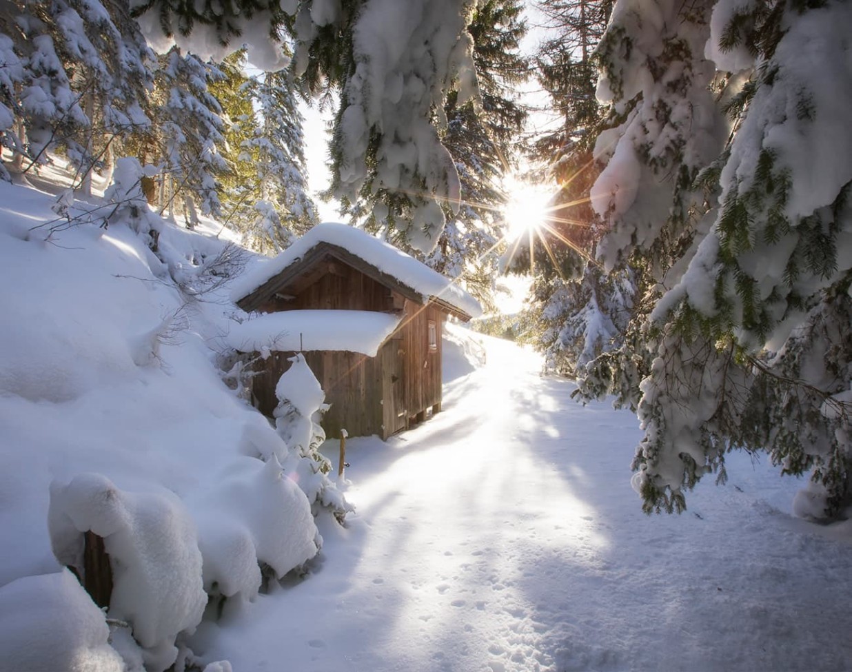 Durch märchenhaft verschneite Winterwanderwege in Filzmoos gehen als Gast des Hotel Alpenhof Naturglück 