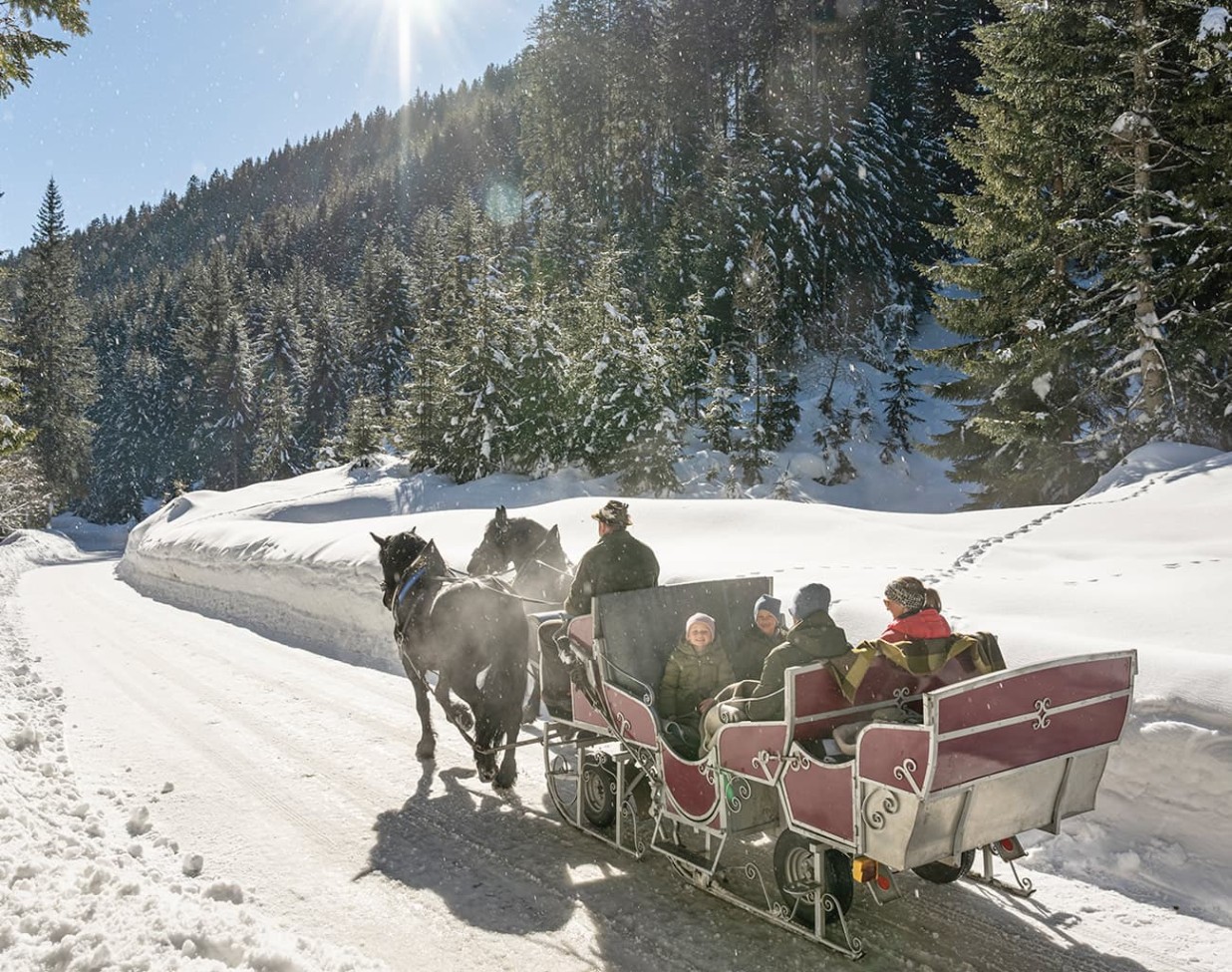 Horse-drawn carriage ride to the Hofalmen
