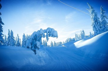 aschnee2 aschnee2