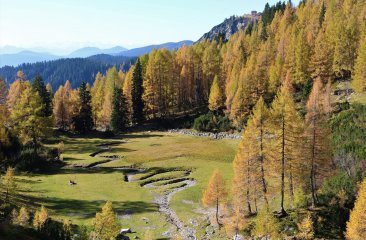 fherbst4 fherbst4