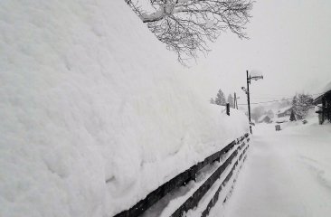 neuschnee2 neuschnee2