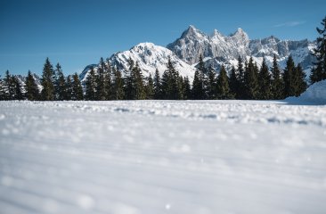 piste1 piste1