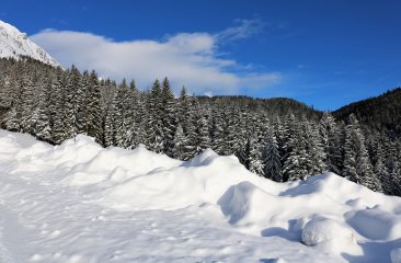 schnee schnee