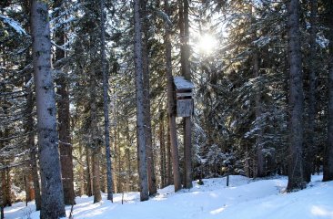 schnee3 schnee3