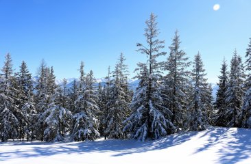 schnee5 schnee5