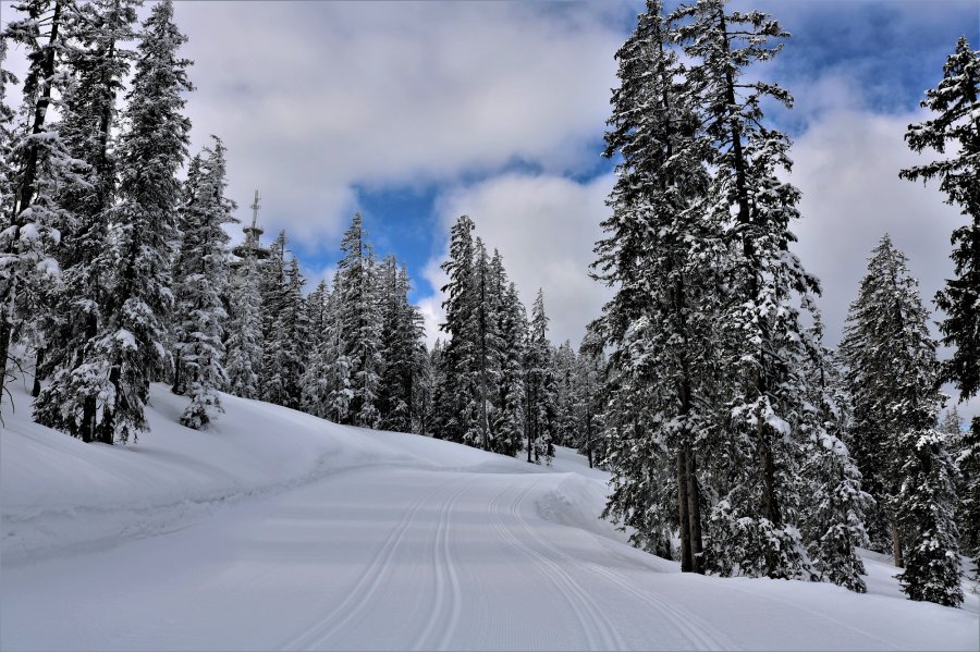 Tagesgäste im Skigebiet