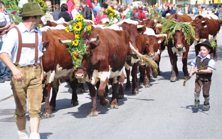 Erntedank und Almabtrieb