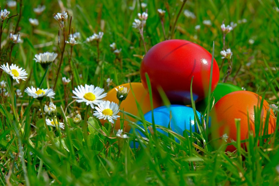 Ostern steht vor der Tür!