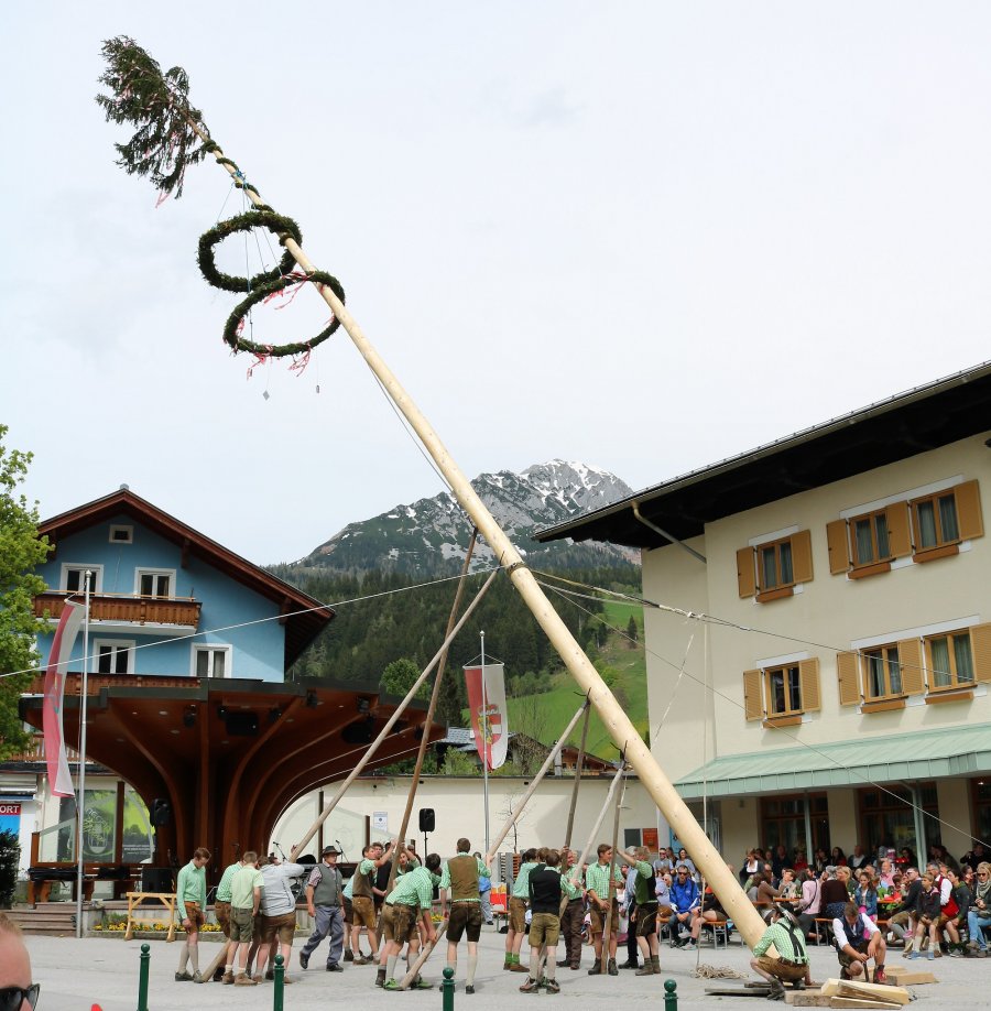 Maibaum aufstellen